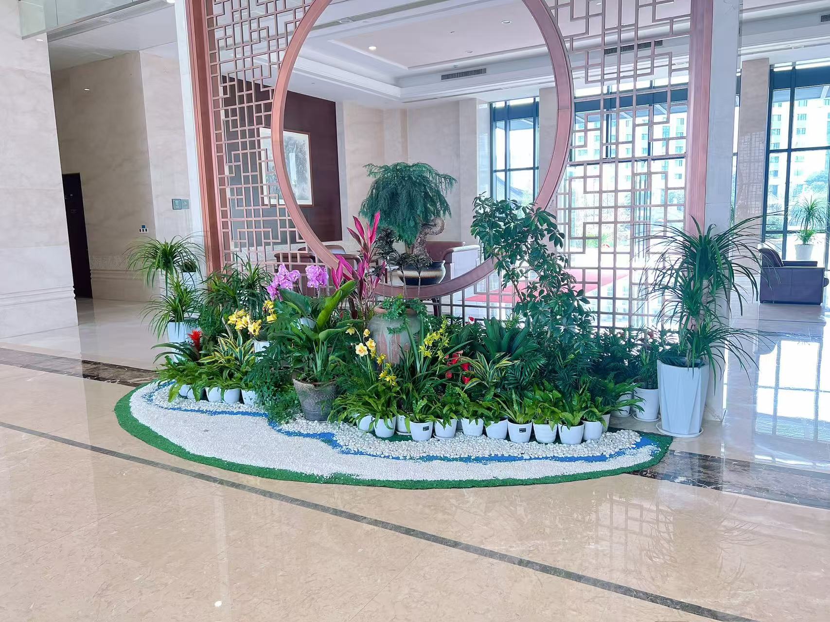 超赞！宁波慈溪植物租赁服务等你来体验